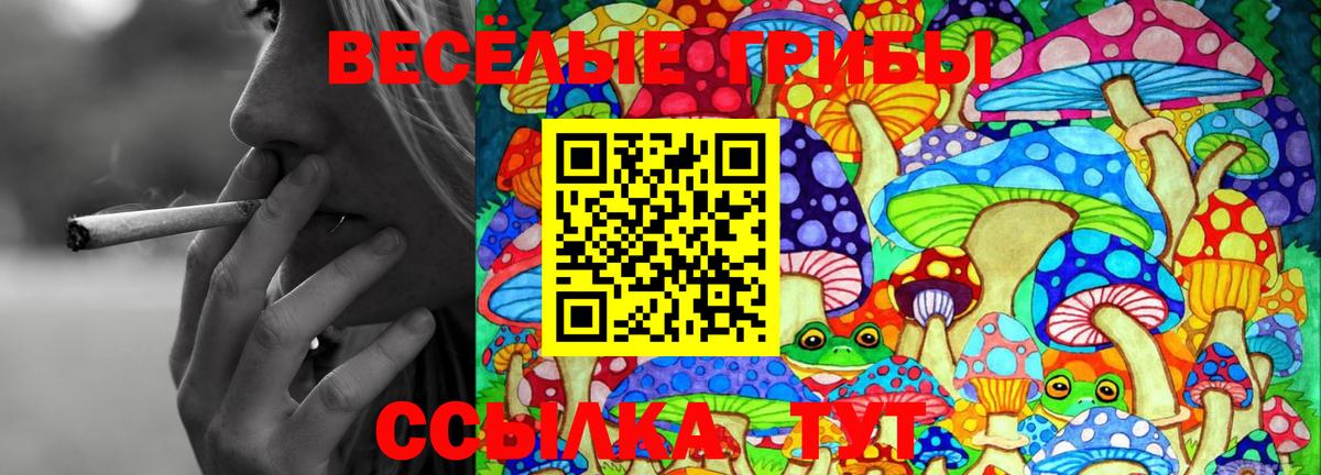 Галлюциногенные грибы Magic Shrooms  Псилоцибиновые грибы мухоморы  Вход с VPN  Лесной 